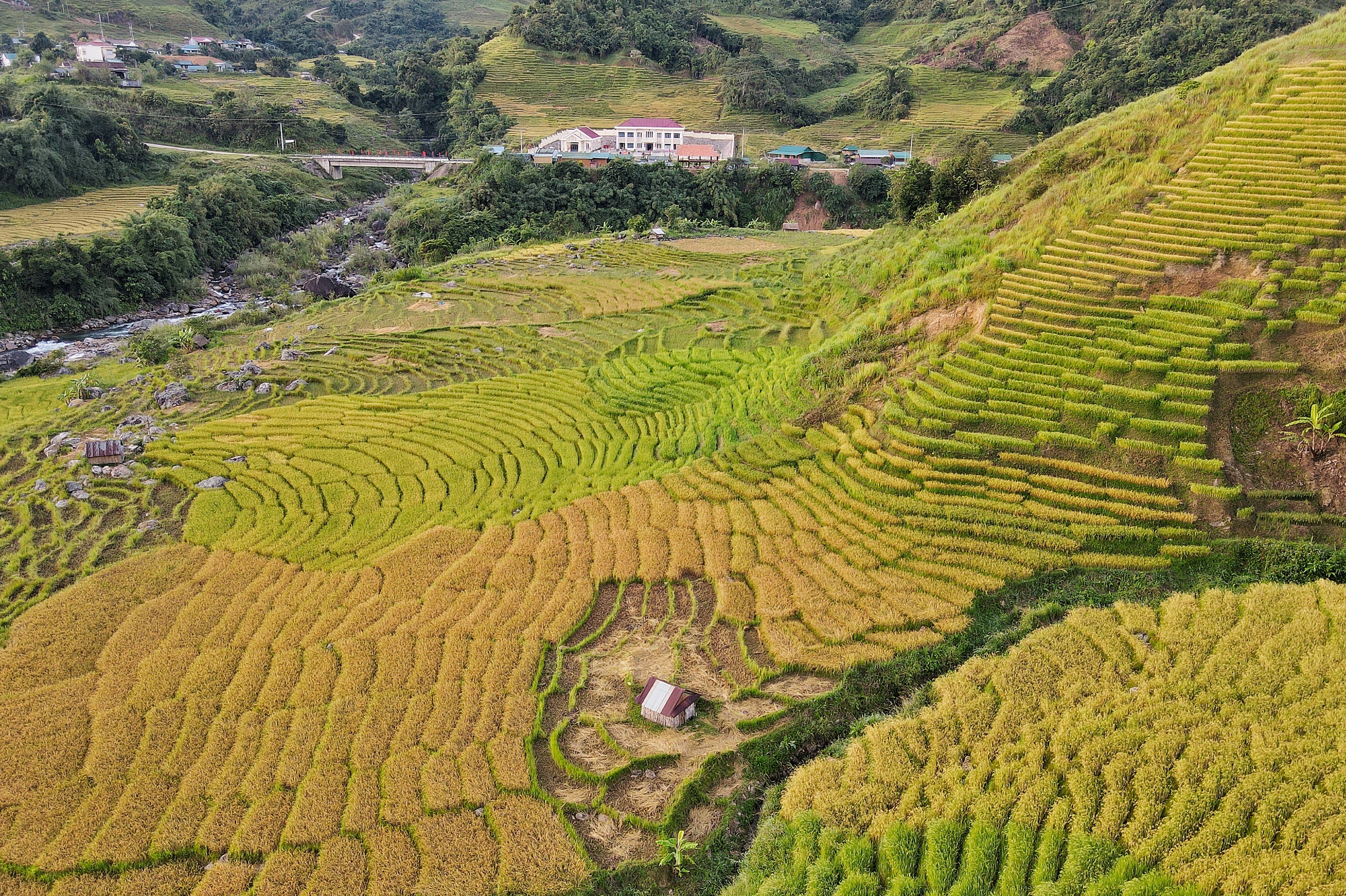 Golden harvest season quietly graces south-central Vietnam’s remote hills - Ảnh 2. Golden harvest season quietly graces south-central Vietnam’s remote hills - Ảnh 2.