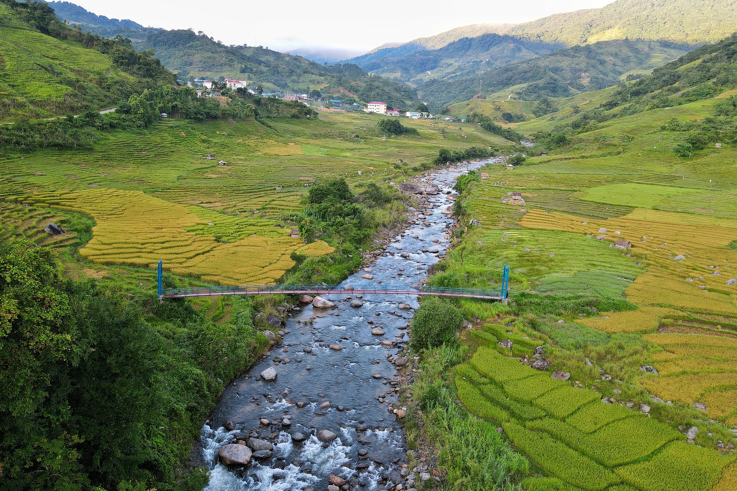 Golden harvest season quietly graces south-central Vietnam’s remote hills - Ảnh 4. Golden harvest season quietly graces south-central Vietnam’s remote hills - Ảnh 4.