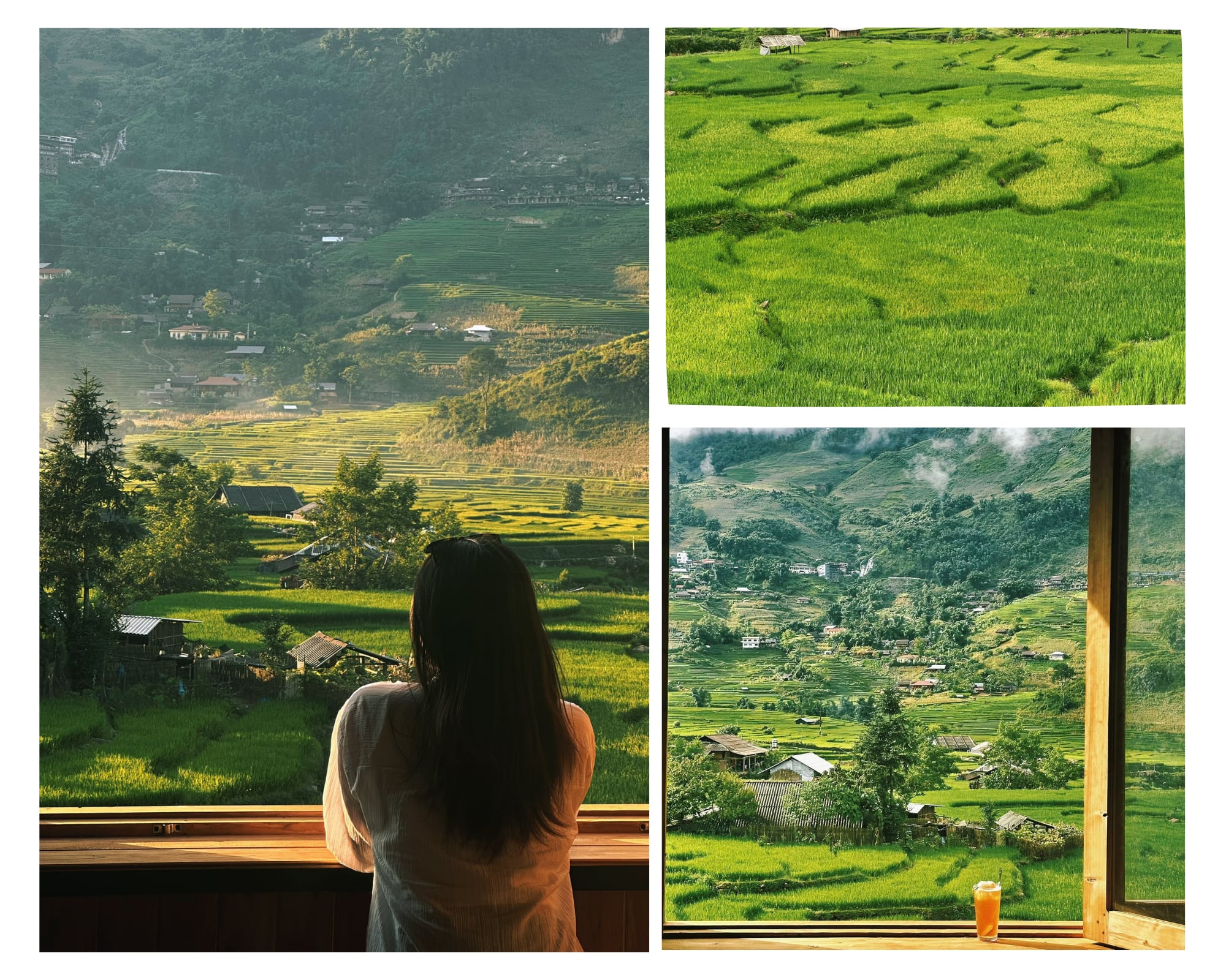 The cinematic green rice season in Vietnam’s Sa Pa few talk about- Ảnh 5. The cinematic green rice season in Vietnam’s Sa Pa few talk about- Ảnh 5.