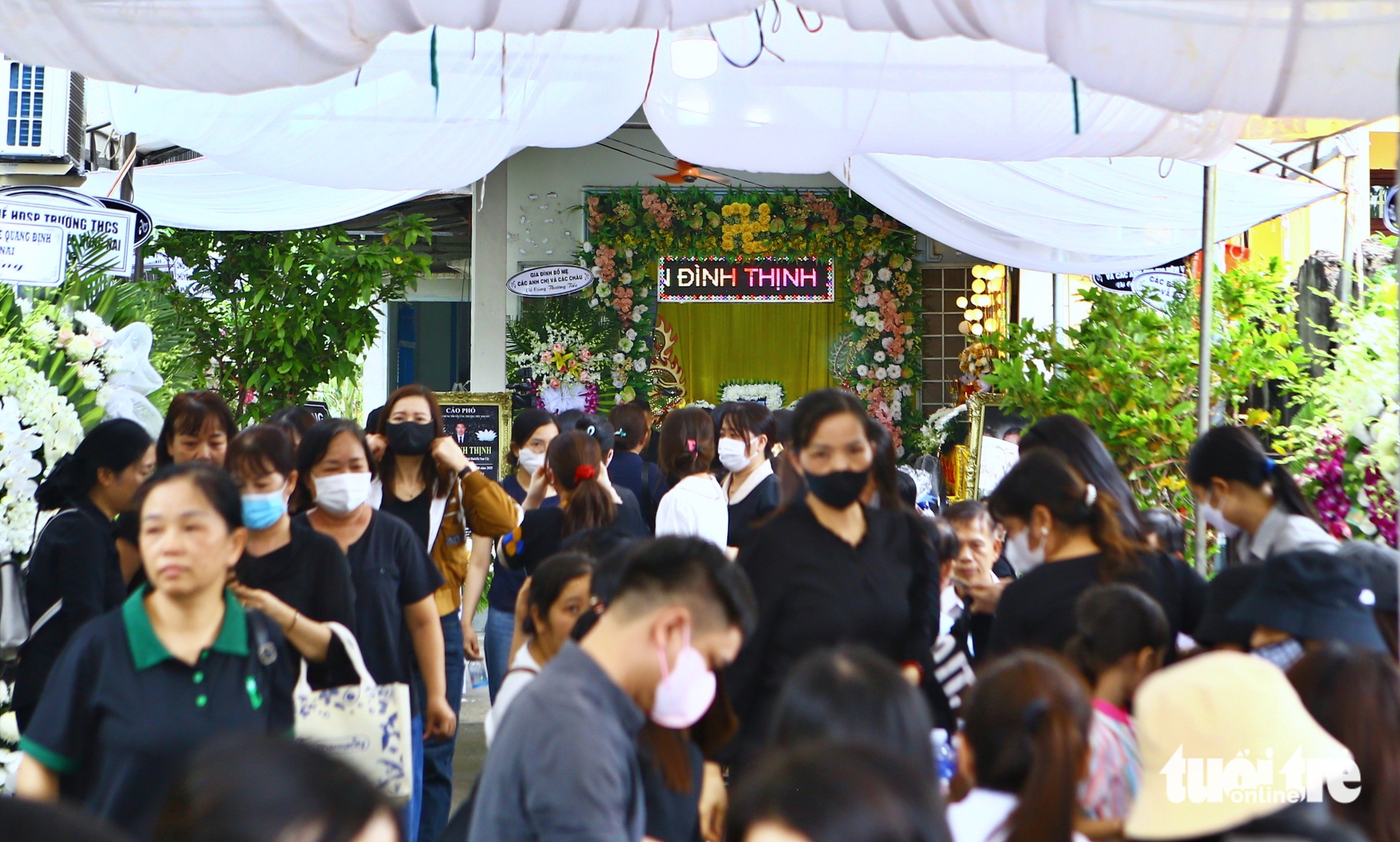 trần đình thịnh - Ảnh 1.