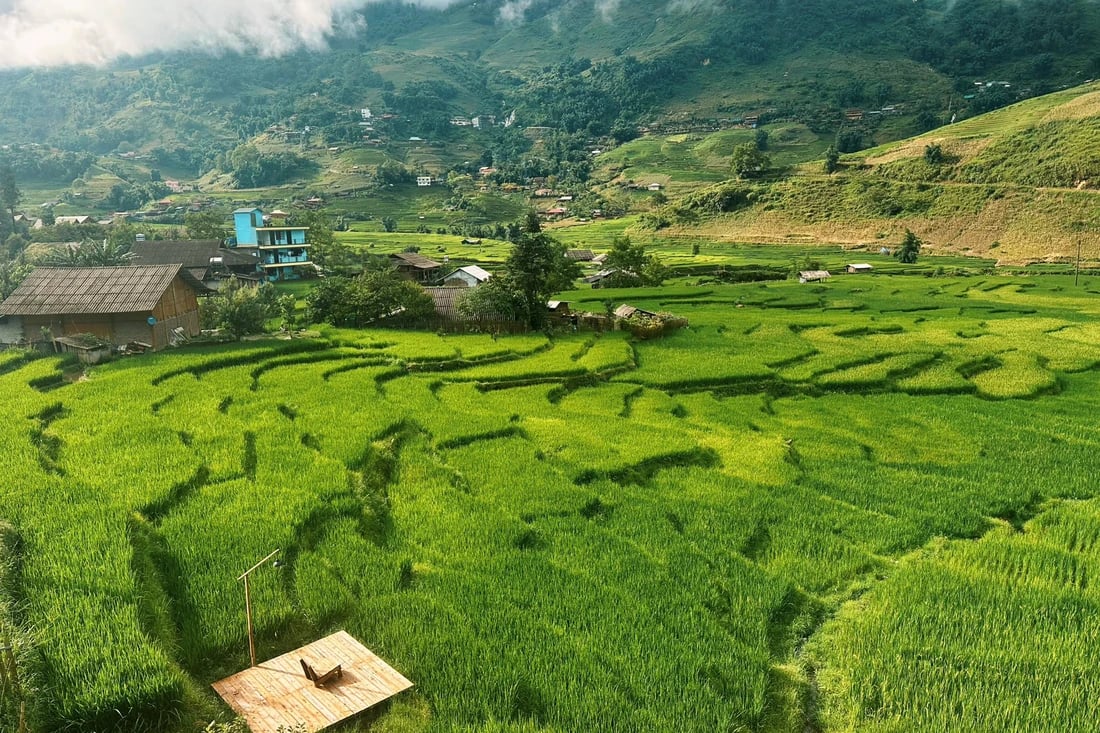 The cinematic green rice season in Vietnam’s Sa Pa few talk about- Ảnh 1. The cinematic green rice season in Vietnam’s Sa Pa few talk about- Ảnh 1.