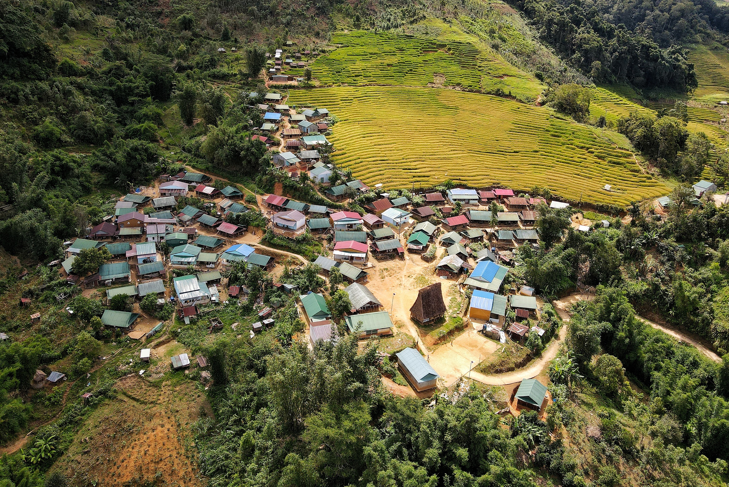 Golden harvest season quietly graces south-central Vietnam’s remote hills - Ảnh 11. Golden harvest season quietly graces south-central Vietnam’s remote hills - Ảnh 11.