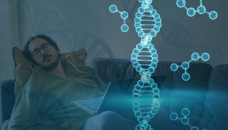 ngủ đông - Ảnh 1.