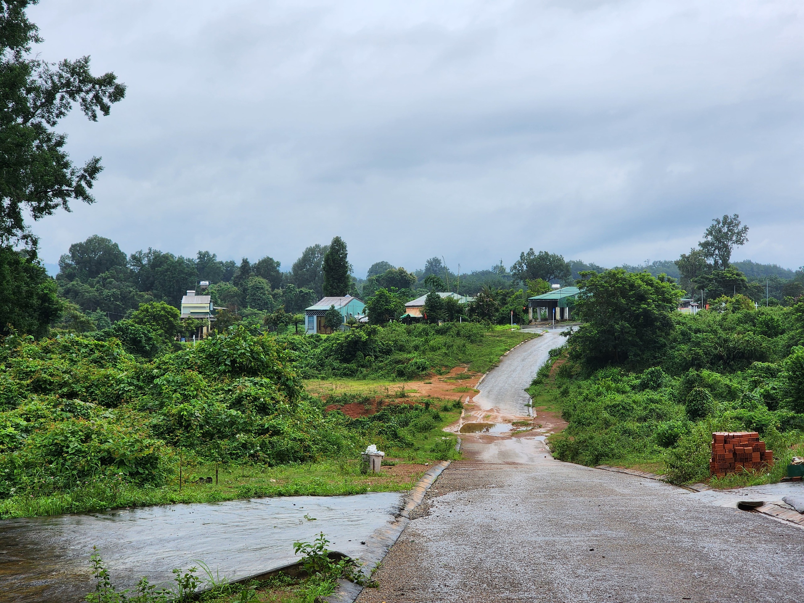 trường học - Ảnh 2.