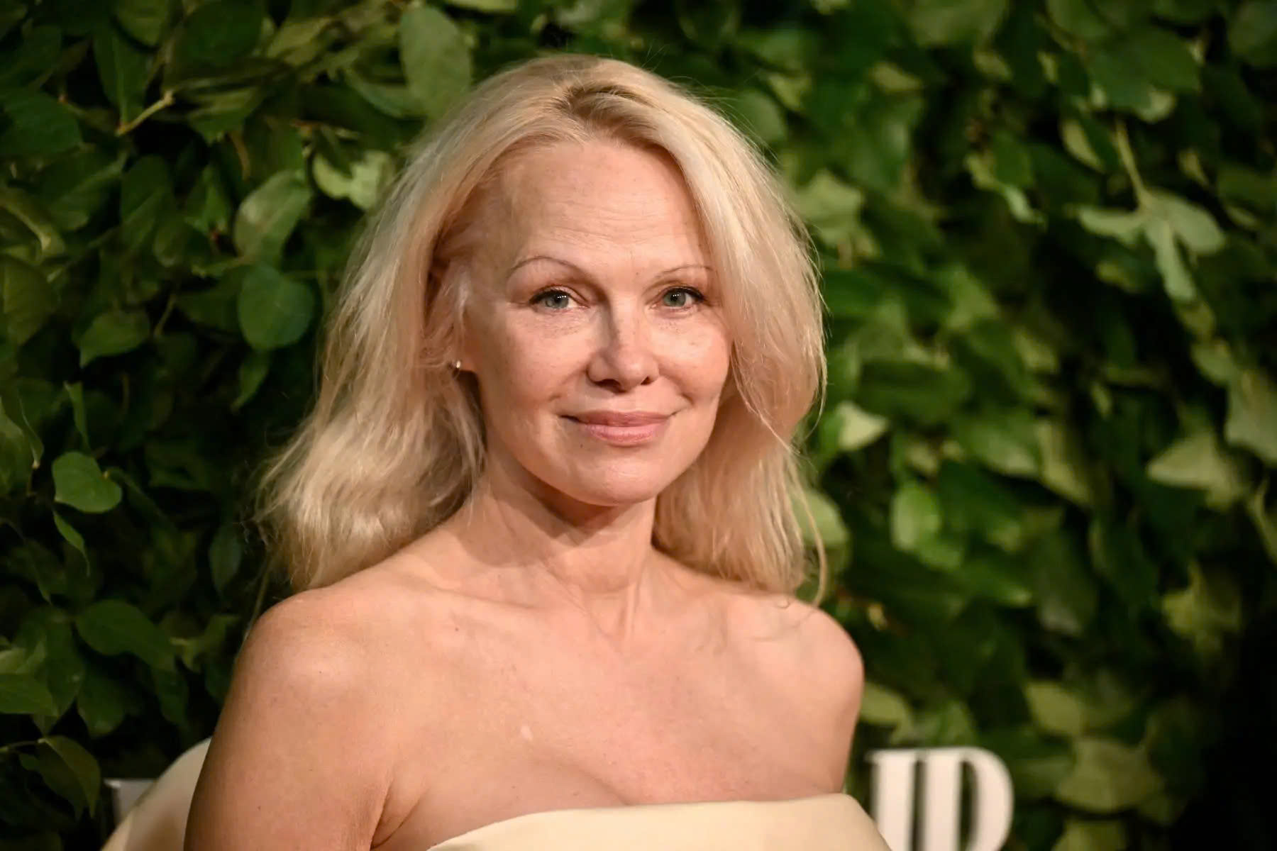 Pamela Anderson - Ảnh 1.
