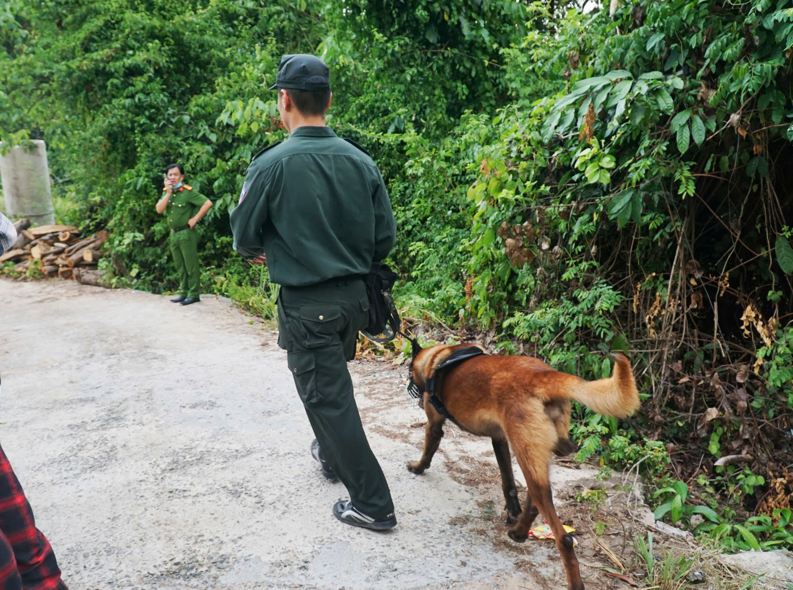 24h tìm kiếm nam thanh niên mất tích khi leo núi ở Nha Trang: Mong chờ một phép màu - Ảnh 3. Leo núi - Ảnh 3.