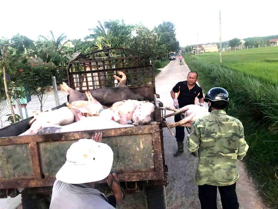 Đà Nẵng - Ảnh 1.