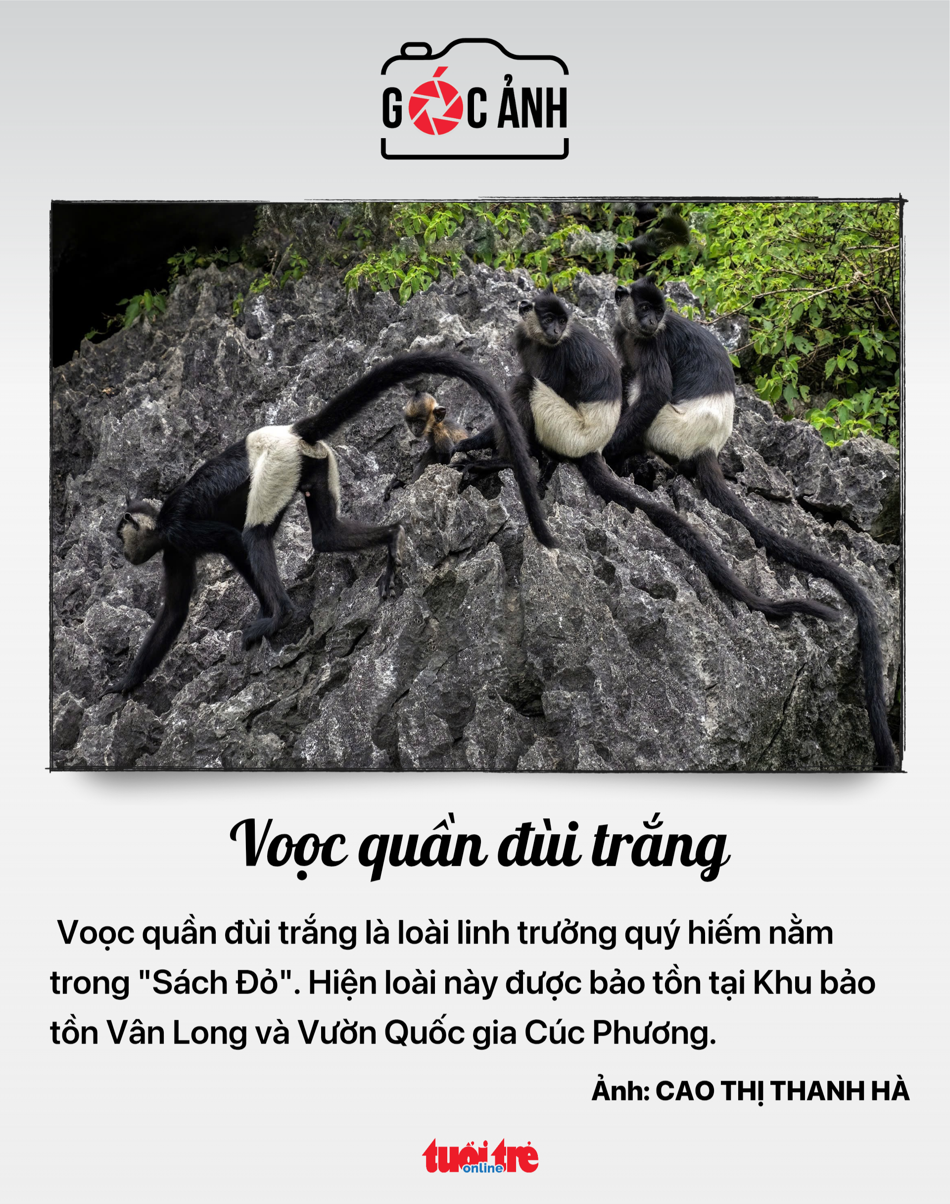 tin tức - Ảnh 7.