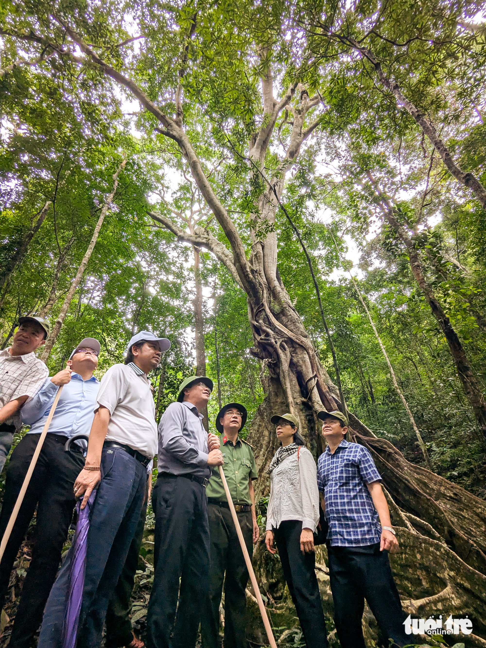 Membangkitkan Kon Ka Kinh, membawa pelancong ke 'gunung emas' ASEAN - Foto 2. Kon Ka Kinh - Ảnh 2.