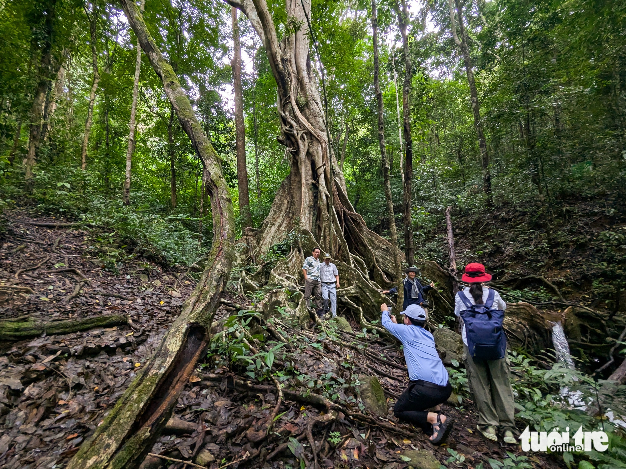 Membangkitkan Kon Ka Kinh, membawa pelancong ke 'gunung emas' ASEAN - Foto 4. Kon Ka Kinh - Ảnh 3.