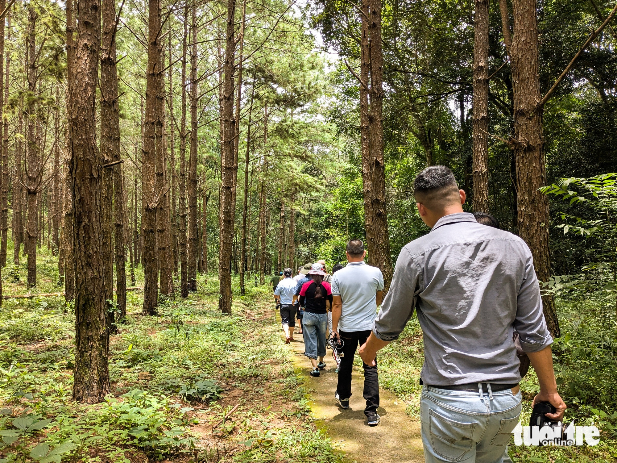 Membangkitkan Kon Ka Kinh, membawa pelancong ke 'gunung emas' ASEAN - Foto 9. Kon Ka Kinh - Ảnh 8.