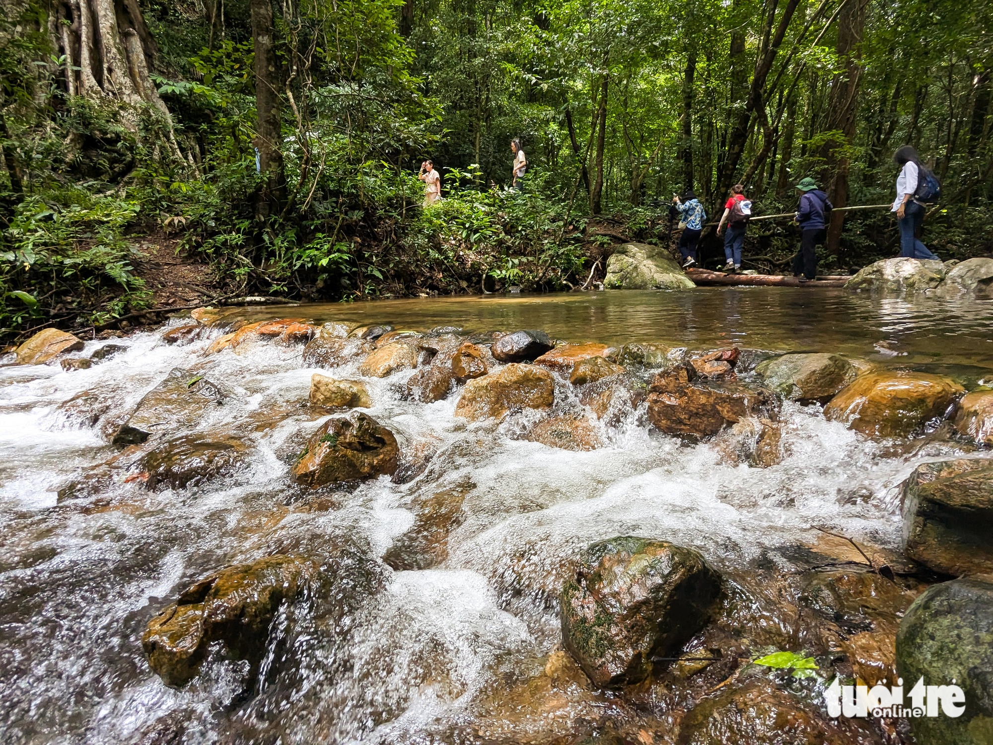 Membangkitkan Kon Ka Kinh, membawa pelancong ke 'gunung emas' ASEAN - Foto 12. Kon Ka Kinh - Ảnh 11.