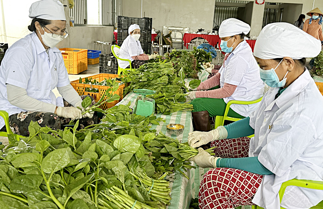 Lan tỏa thực phẩm 'Tick xanh trách nhiệm' - Ảnh 4.