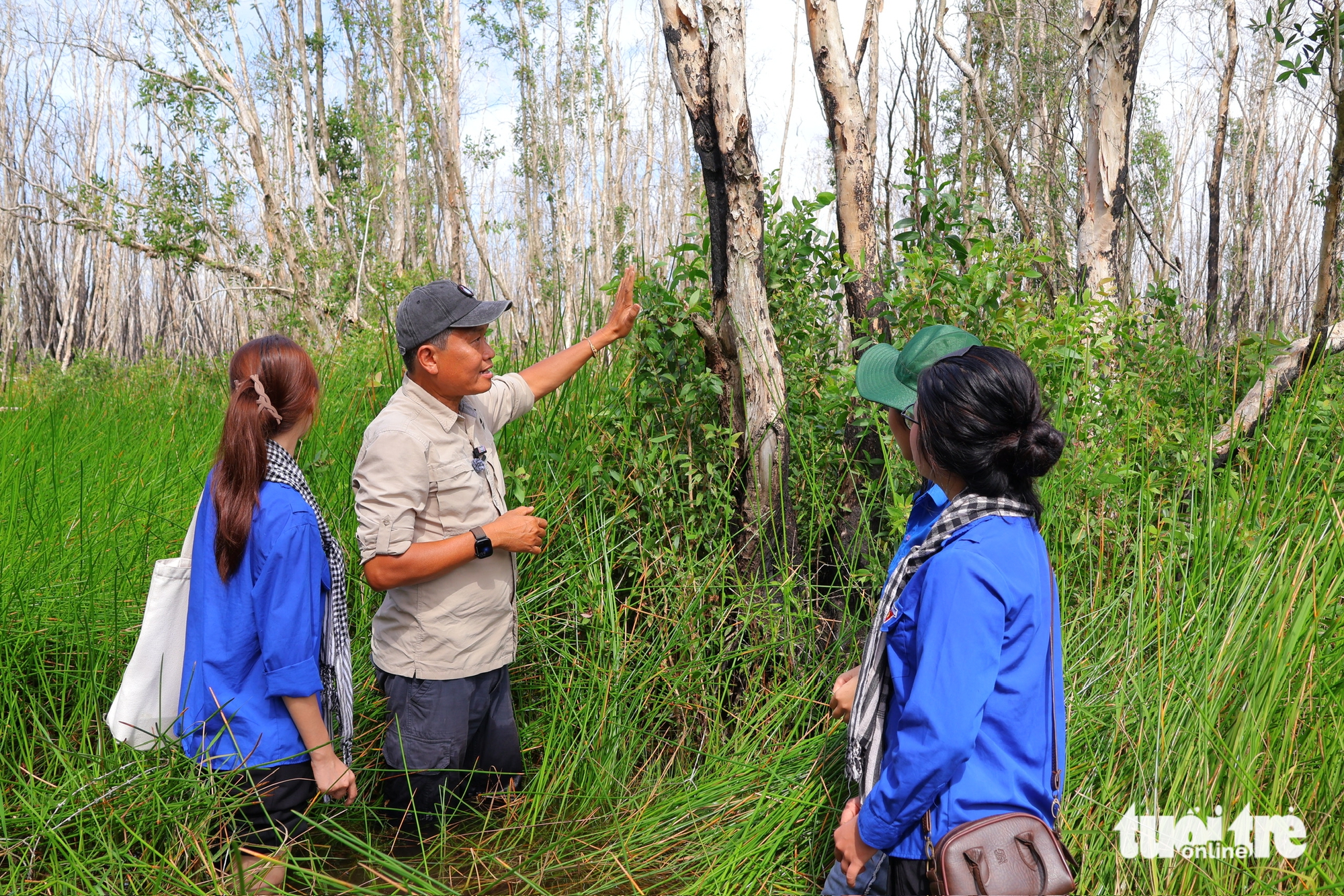 Tram Chim National Park bursts to life in flood season in southern Vietnam - Ảnh 2. Tram Chim National Park bursts to life in flood season in southern Vietnam - Ảnh 2.
