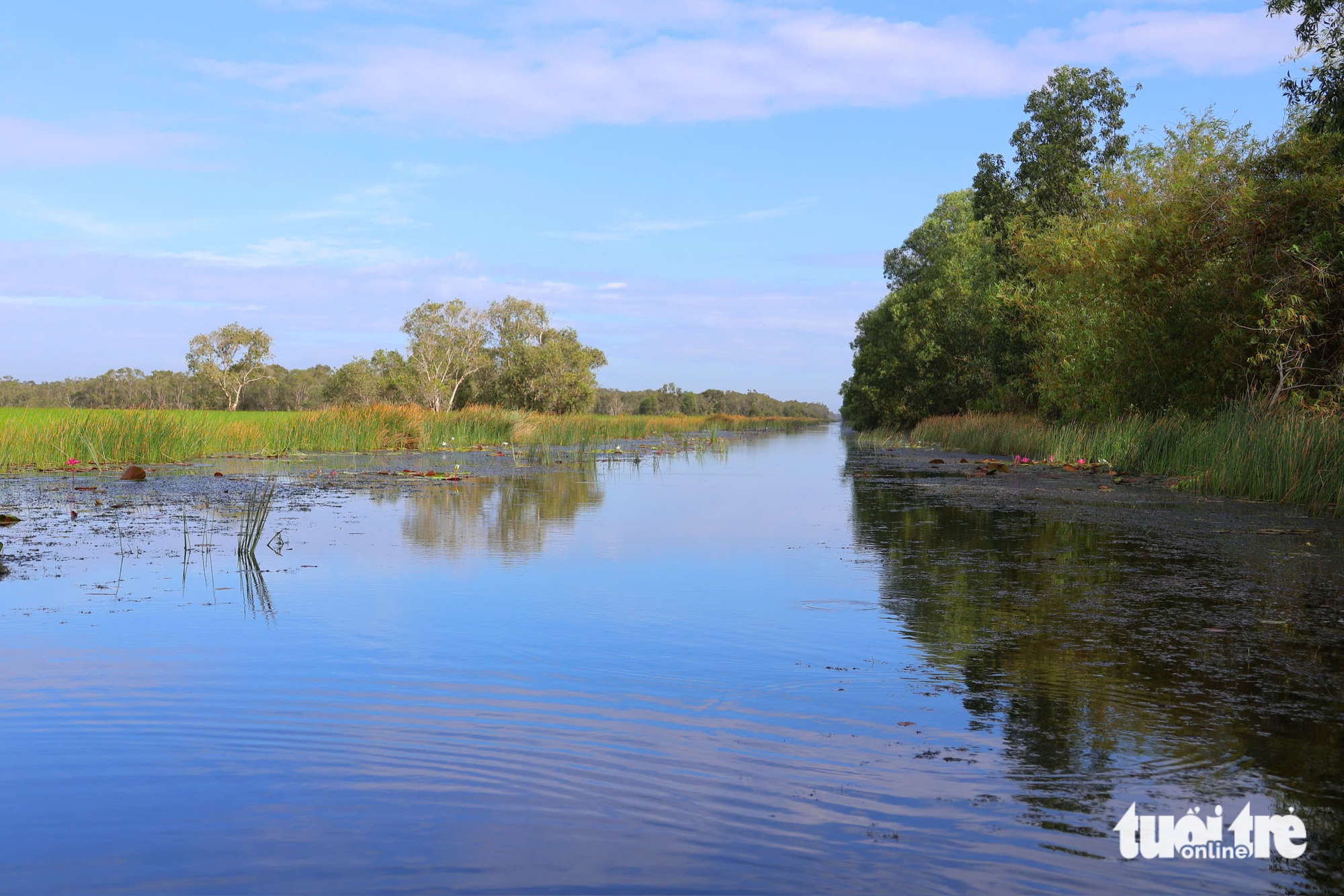 Tram Chim National Park bursts to life in flood season in southern Vietnam - Ảnh 4.