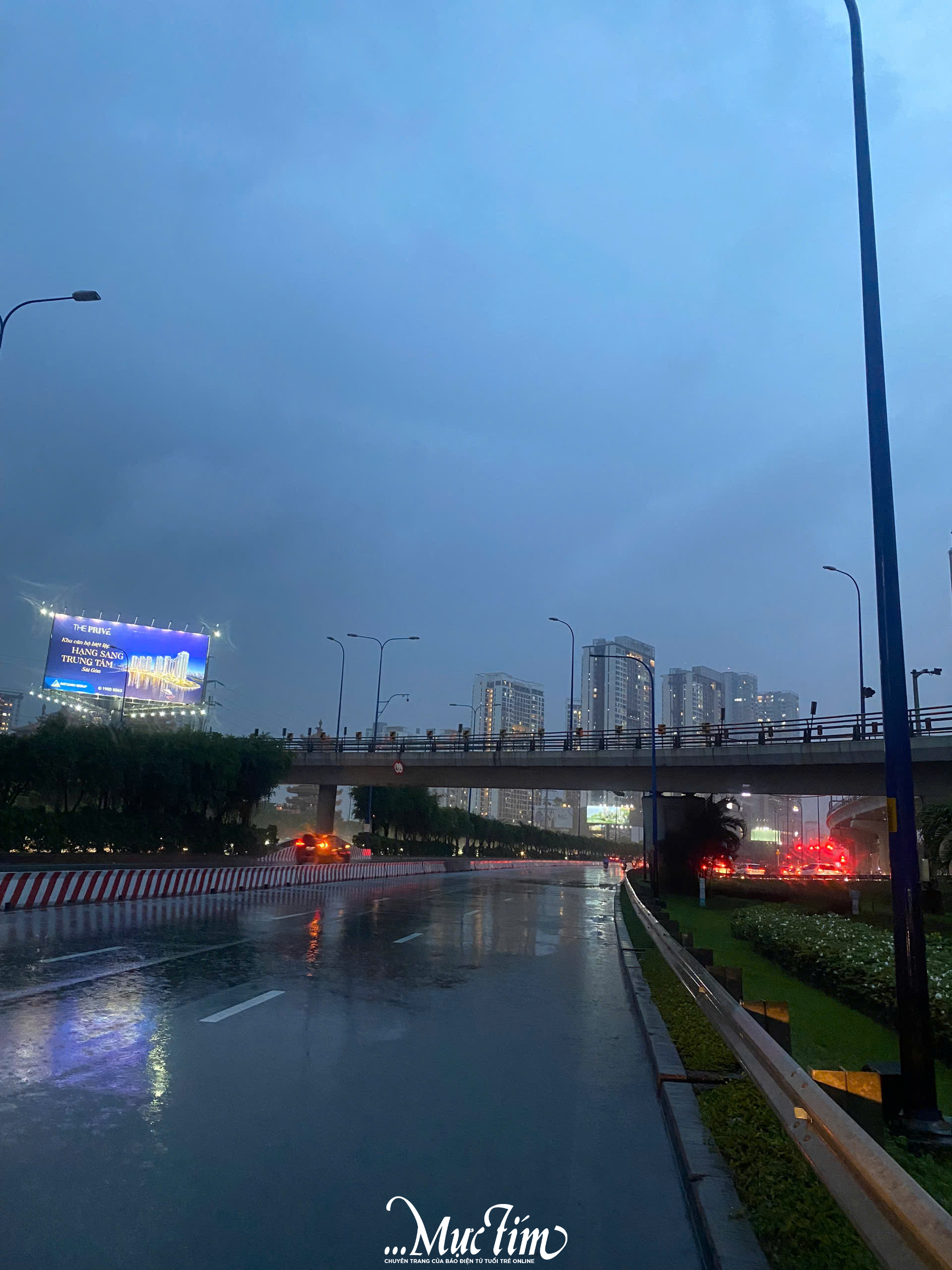 TP.HCM mưa lớn chiều 11-9, cây cối ngã đổ, đường sá ngập nặng- Ảnh 6.