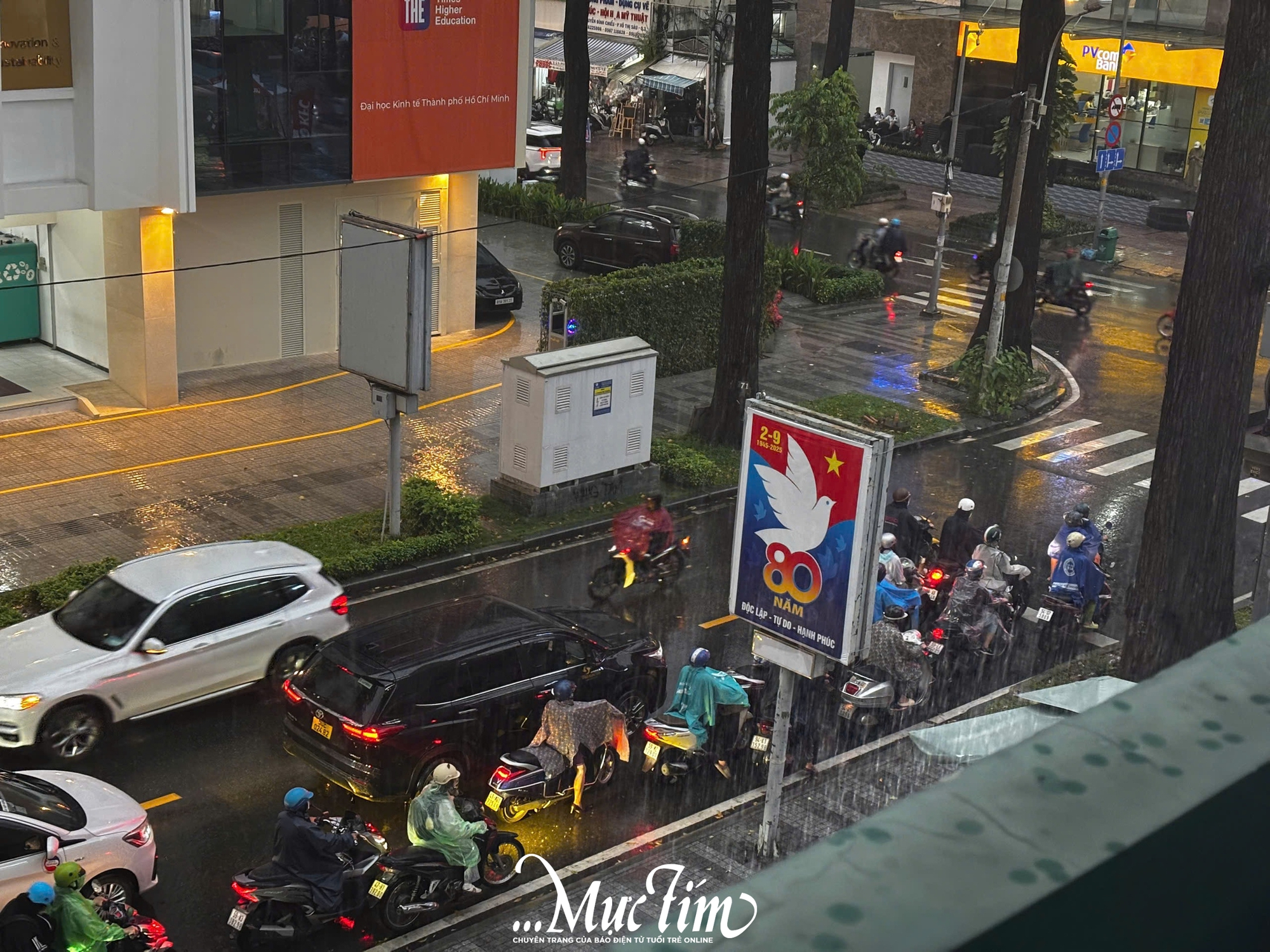 TP.HCM mưa lớn chiều 11-9, cây cối ngã đổ, đường sá ngập nặng- Ảnh 8.