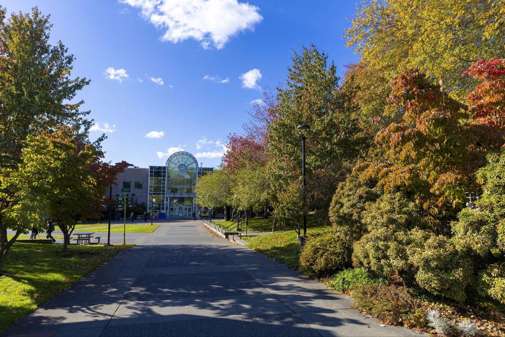 Ngày hội du học Canada 2025 – Quyết định đúng, sáng tương lai- Ảnh 3.