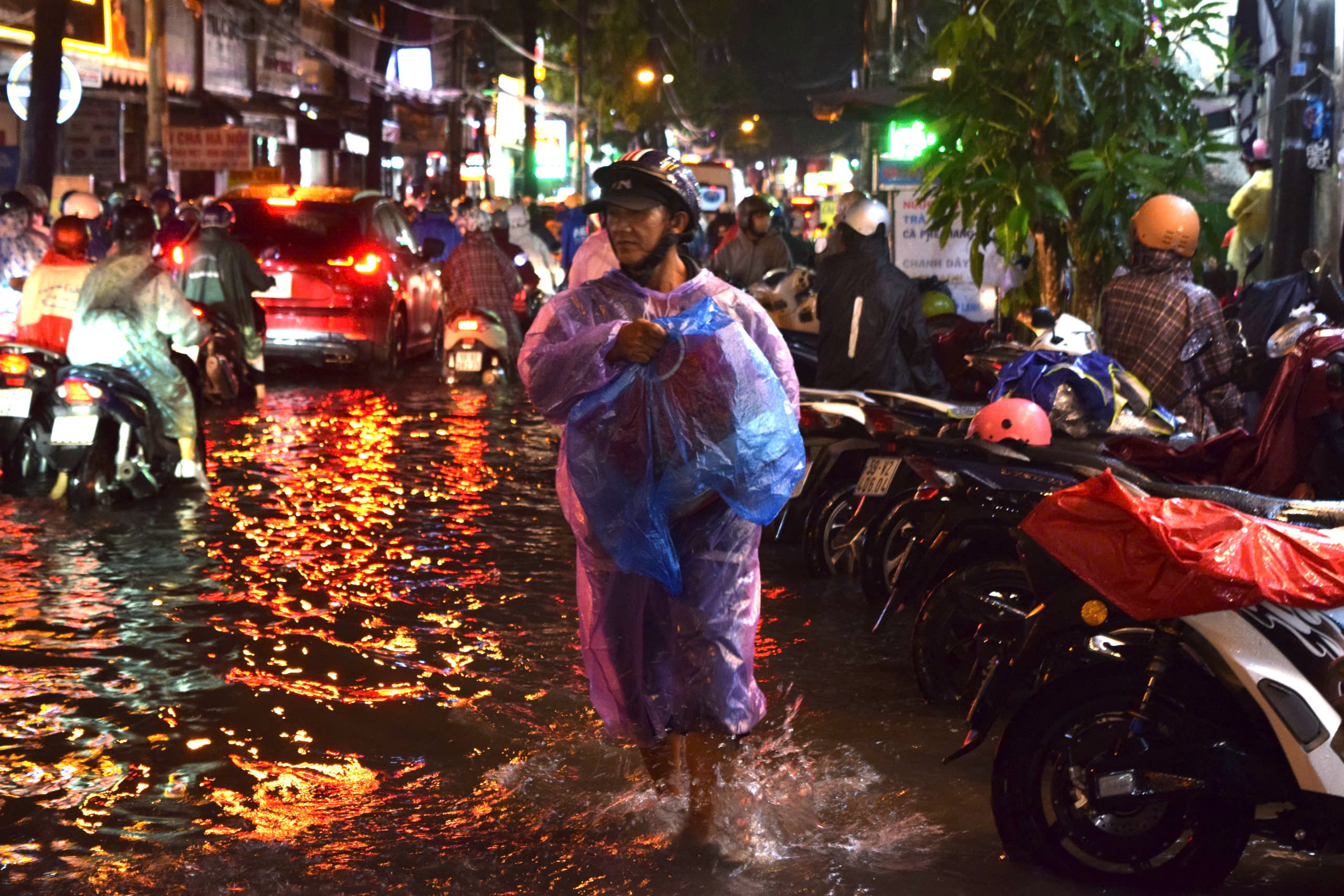 Torrential rain floods Ho Chi Minh City, trees uprooted during rush hour- Ảnh 4. Torrential rain floods Ho Chi Minh City, trees uprooted during rush hour- Ảnh 4.