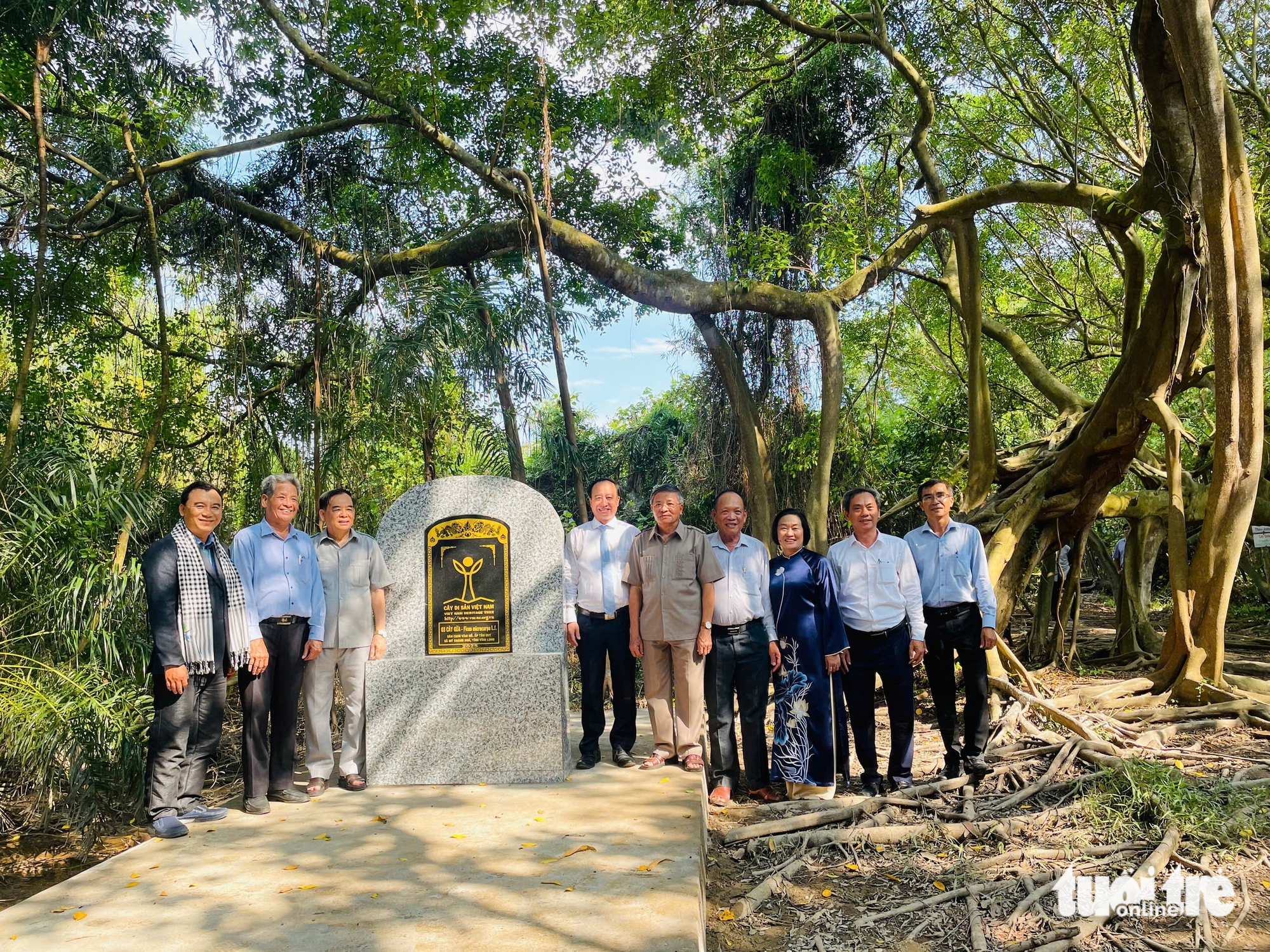 5 cây cổ thụ ở Vĩnh Long được công nhận là Cây di sản Việt Nam - Ảnh 3.