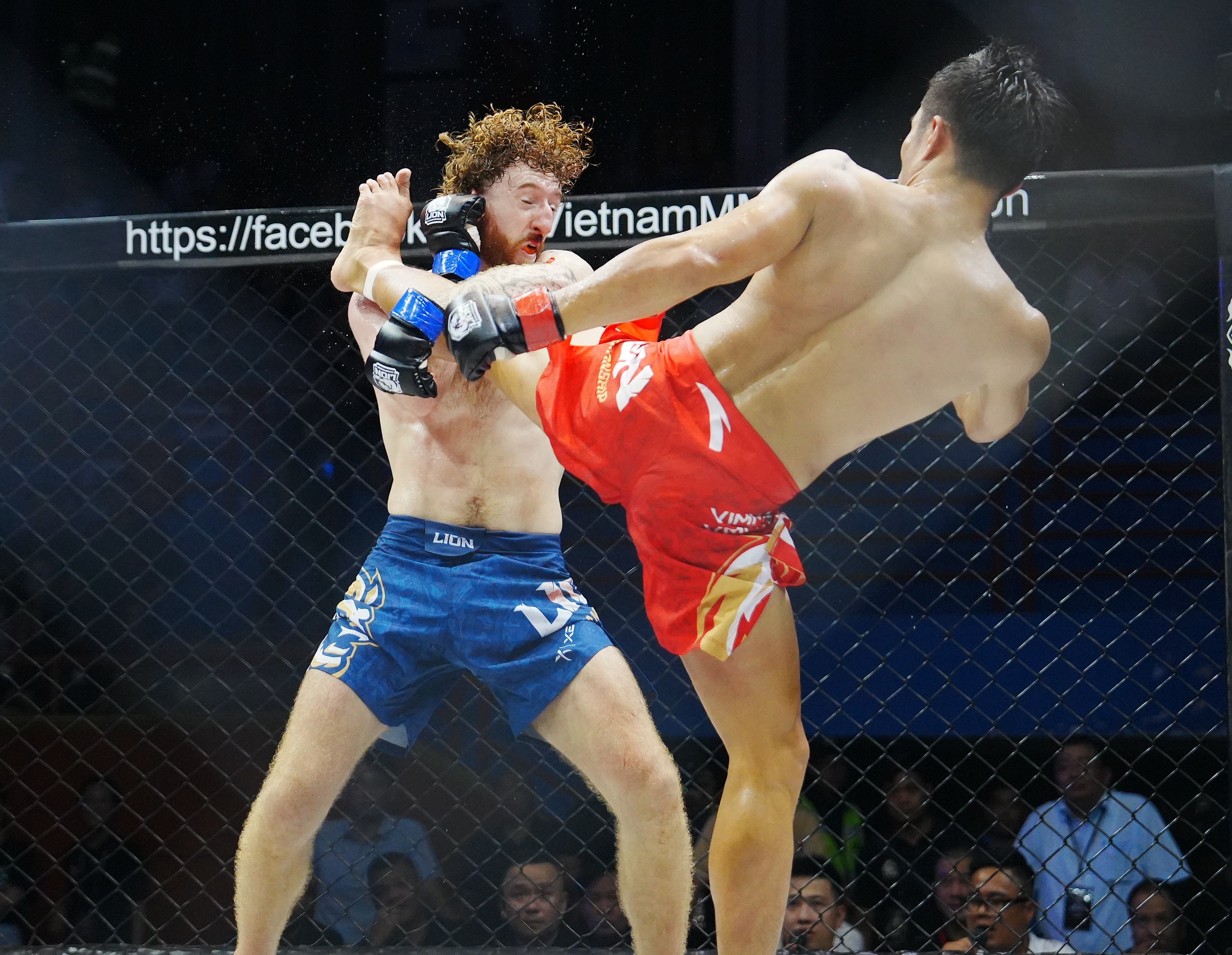 trương cao minh phát - Ảnh 1.