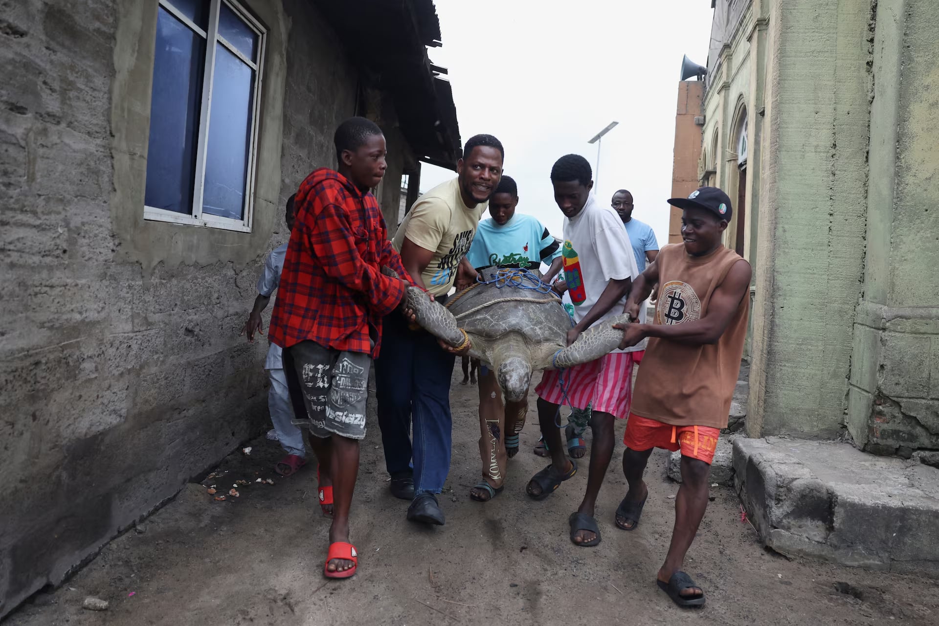 Conservationists fight to save Nigeria's sea turtles from pollution and poachers- Ảnh 4. Conservationists fight to save Nigeria's sea turtles from pollution and poachers- Ảnh 4.