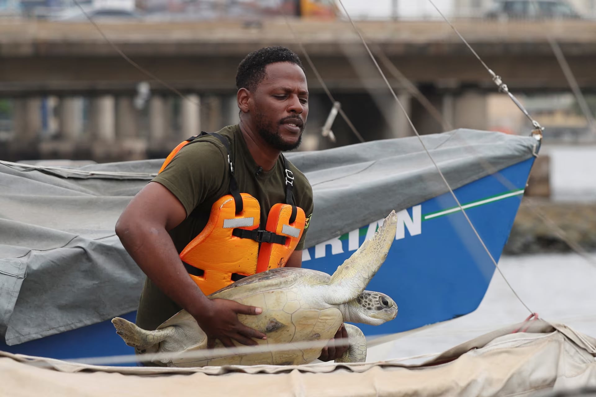 Conservationists fight to save Nigeria's sea turtles from pollution and poachers- Ảnh 3. Conservationists fight to save Nigeria's sea turtles from pollution and poachers- Ảnh 3.