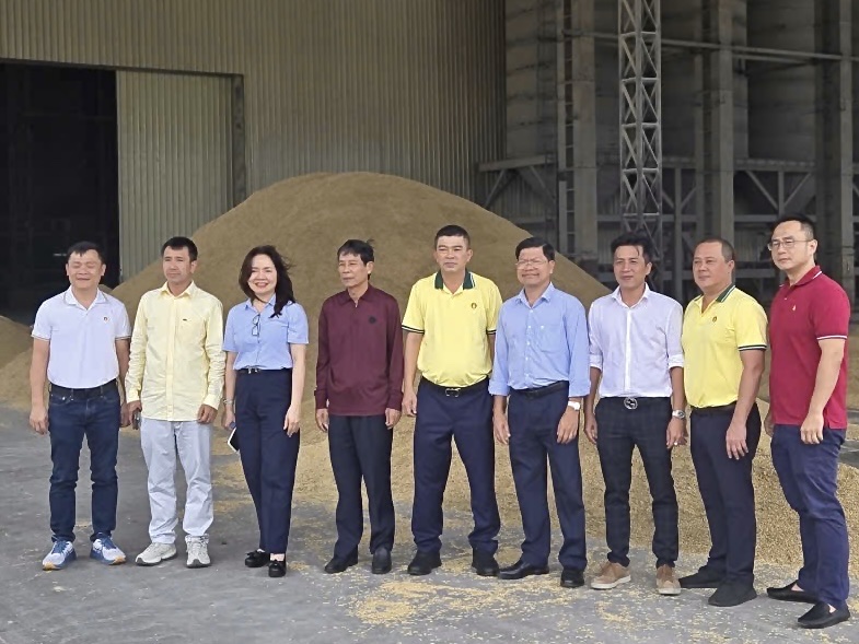 Phân bón Cà Mau - Ảnh 3.