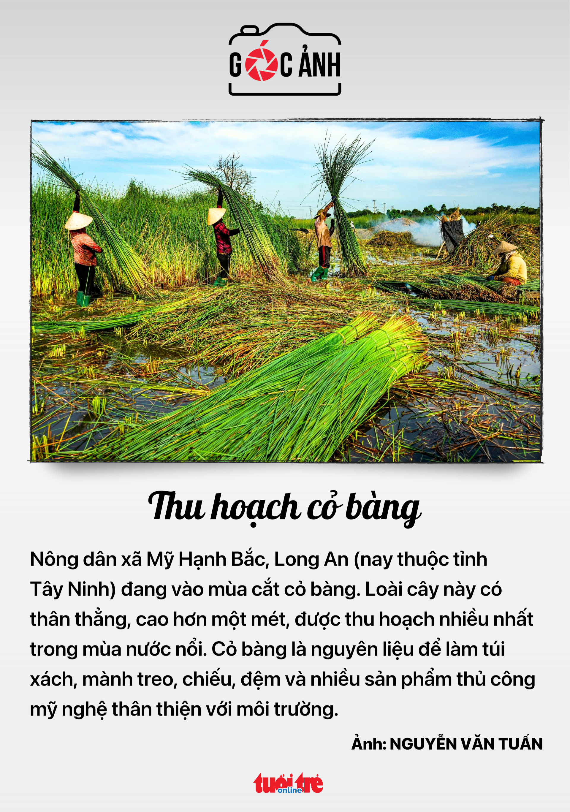 Tin tức sáng 18-9: Lãnh đạo doanh nghiệp nhà nước lương có thể 300 triệu/tháng; Tham gia đa cấp giảm - Ảnh 6.