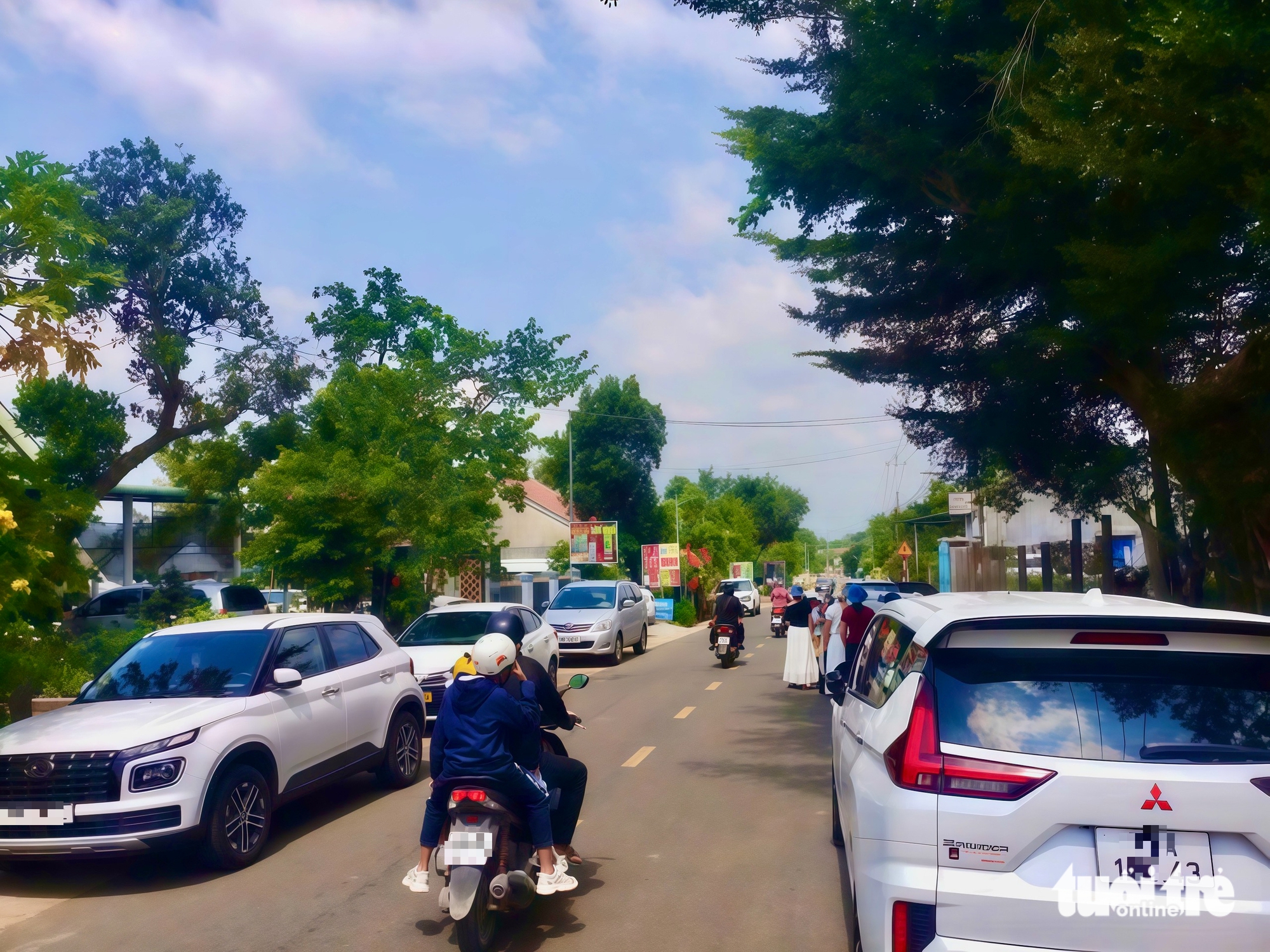 Taman Merah Van Hoa menarik pengunjung - Foto 2. Vườn đỏ Vân Hòa hút khách- Ảnh 2.