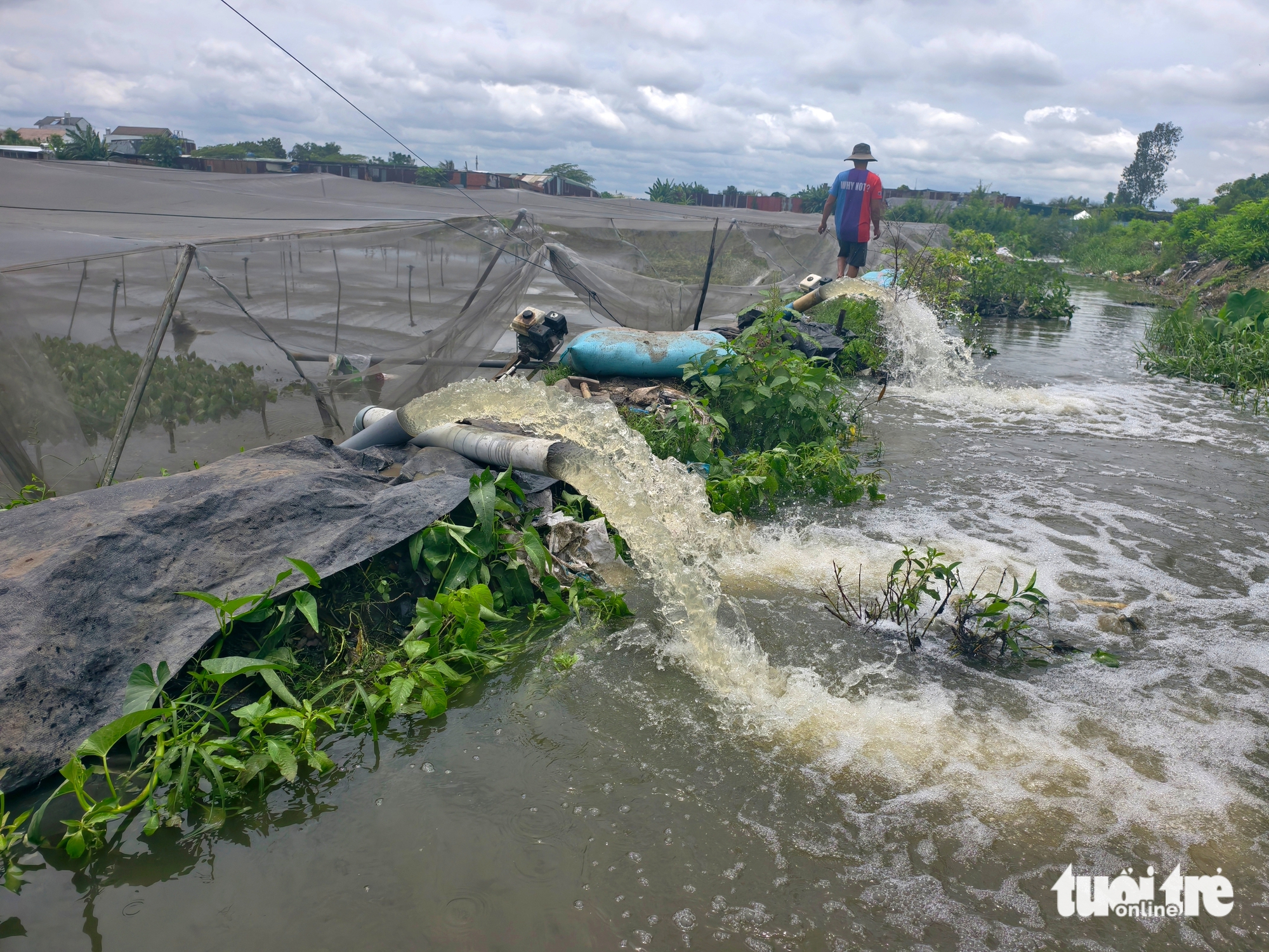Hơn 63.000 mét vuông đất trồng rau ở xã Vĩnh Lộc bị ngập do mưa lớn - Ảnh 3.