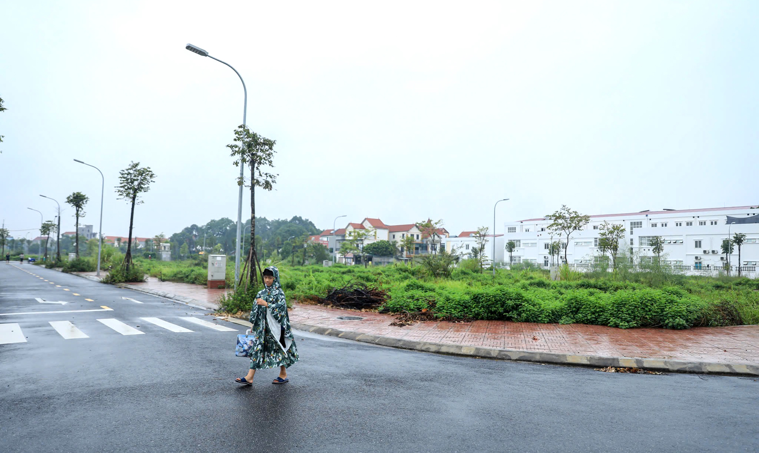 Cold after the heated land auction - Photo 1. Đất đấu giá ngoại thành hơn trăm triệu/m² bỏ hoang, đánh thuế được không? - Ảnh 1.