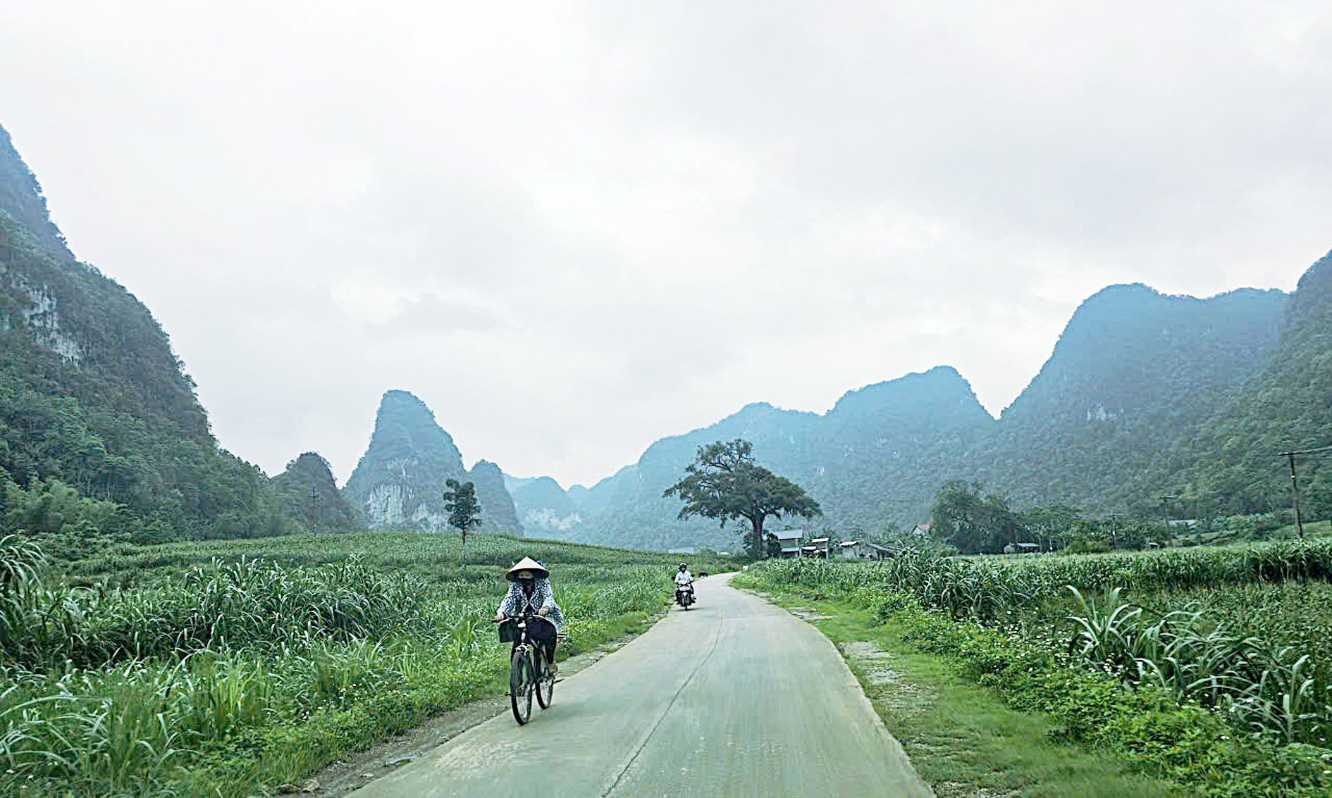 Từ Hạnh Phúc, nón 'hiệp khách' đi muôn phương - Ảnh 7.