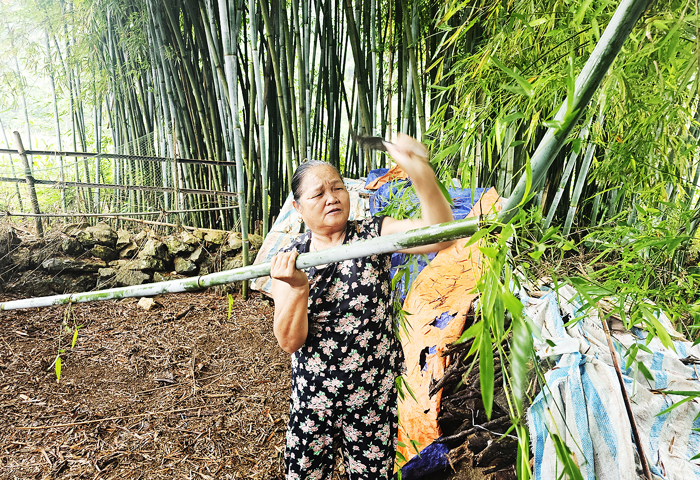 Từ Hạnh Phúc, nón 'hiệp khách' đi muôn phương - Ảnh 6.