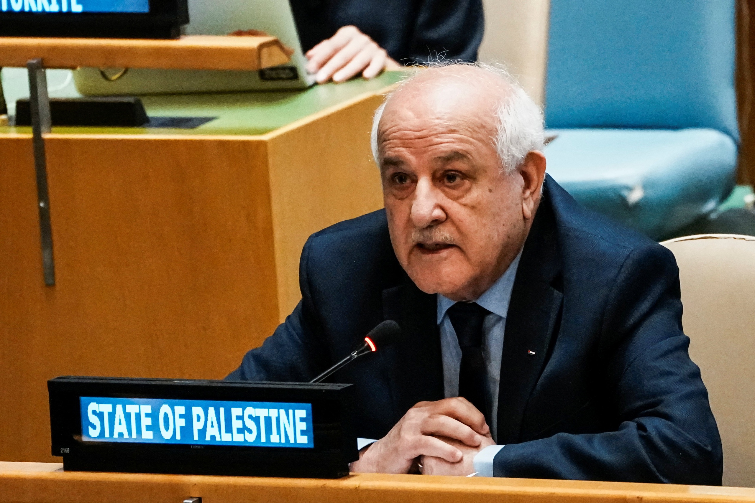 Hiện có bao nhiêu nước công nhận Nhà nước Palestine? - Ảnh 1.