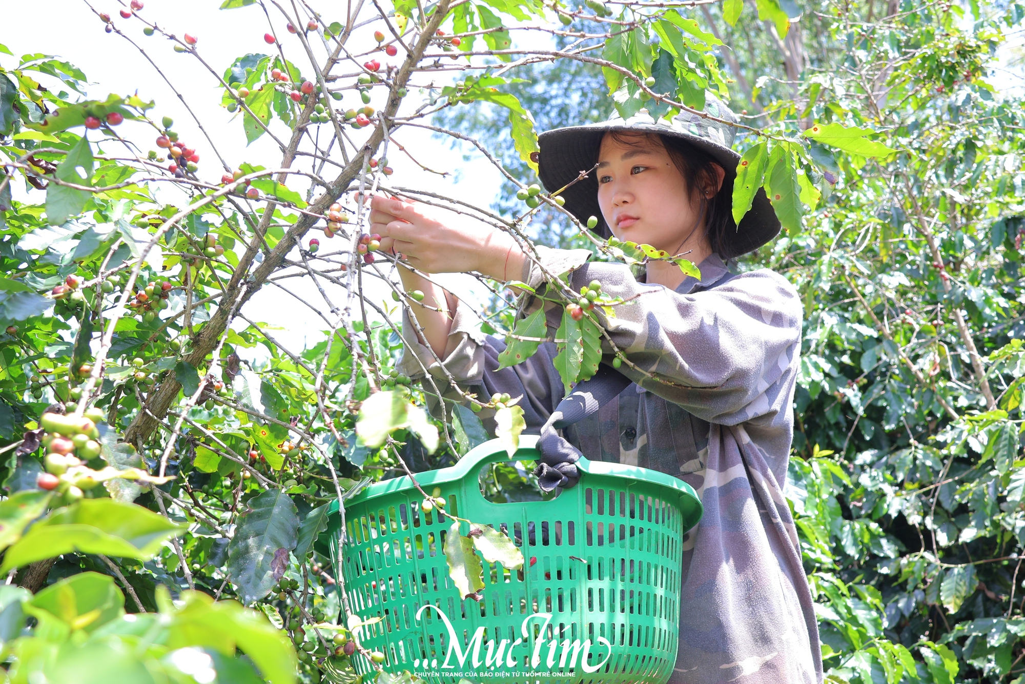 Chiều nay 23-9, Học bổng Vì tương lai Việt Nam đến với học trò Sơn La- Ảnh 2.