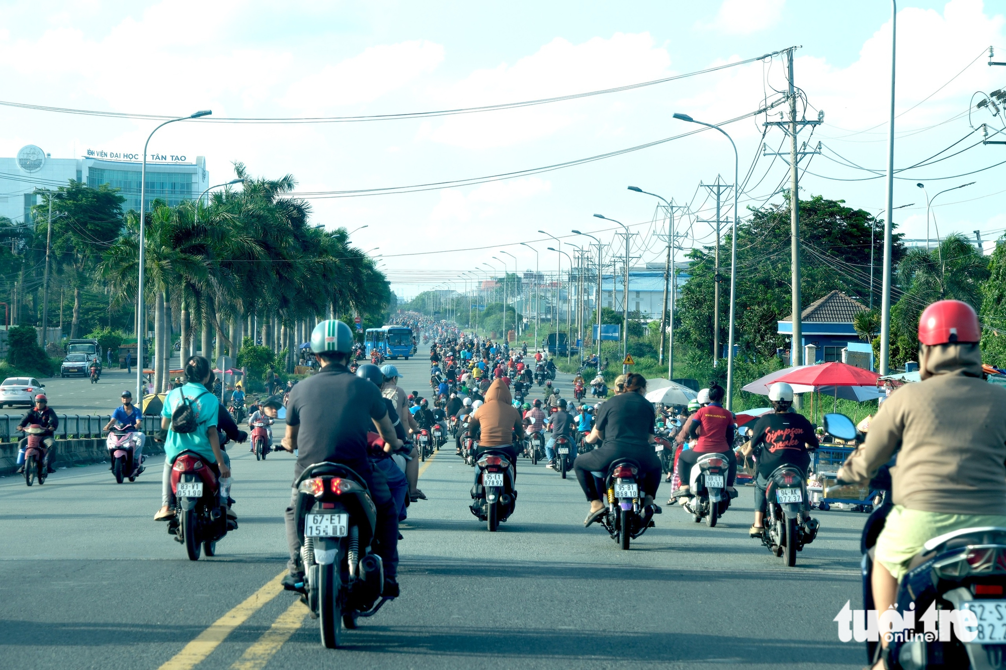Flycam đường Hải Sơn - Tân Đô của Tây Ninh chờ kết nối đường Võ Văn Kiệt nối dài của TP.HCM - Ảnh 5.