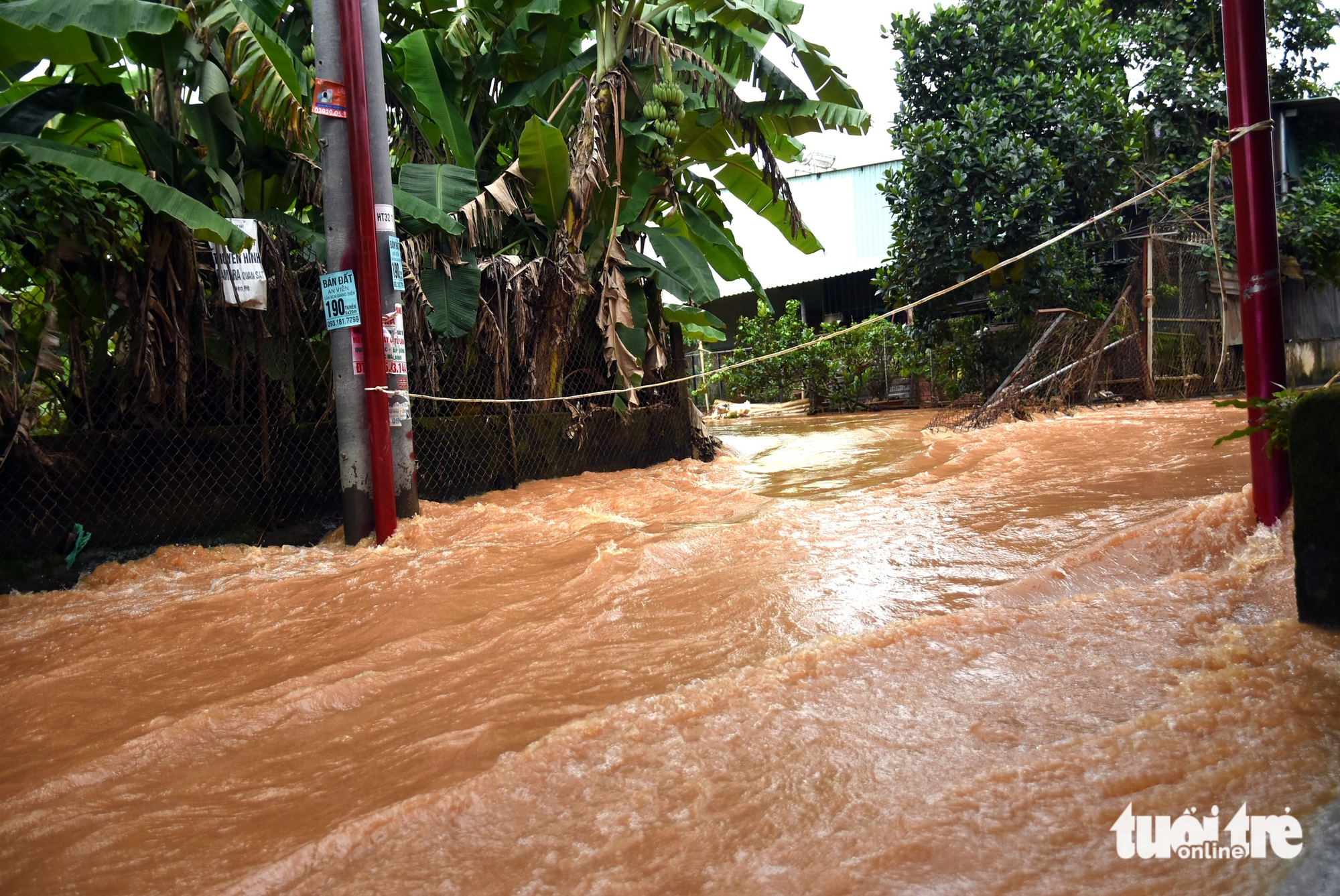 Đồng Nai: Hàng trăm hộ dân cạnh dự án cao tốc Biên Hòa - Vũng Tàu lại ngập lụt nặng - Ảnh 6.