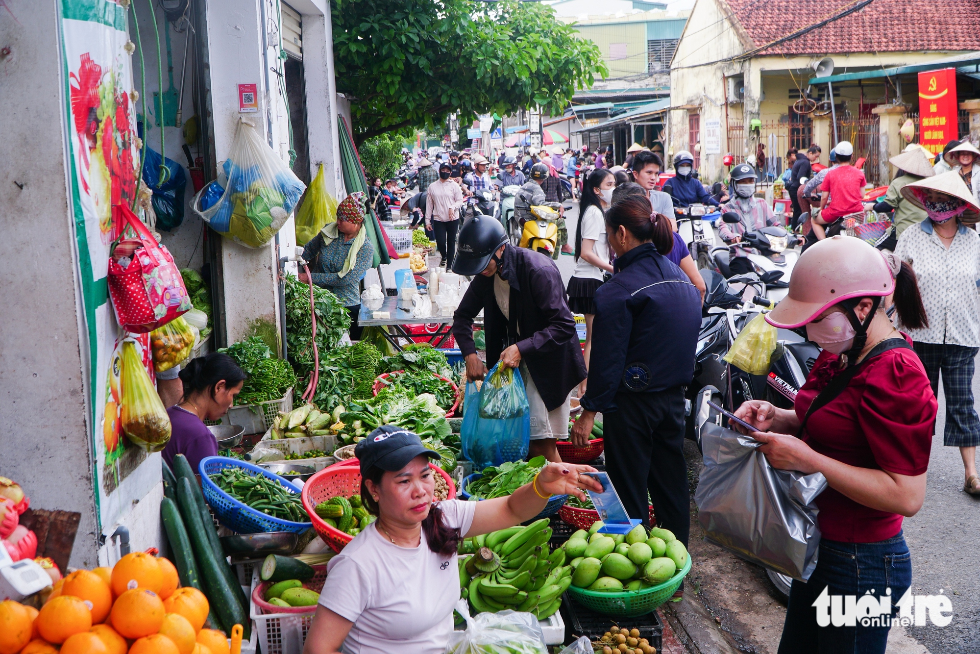 Đặc khu Vân Đồn tất bật trước bão Ragasa, lực lượng cứu hộ đã sẵn sàng - Ảnh 2.