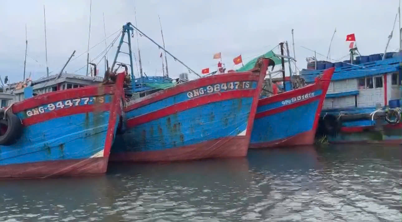 Vi phạm IUU, 4 thuyền trưởng tàu cá ở Quảng Ngãi bị phạt gần 900 triệu đồng - Ảnh 1.
