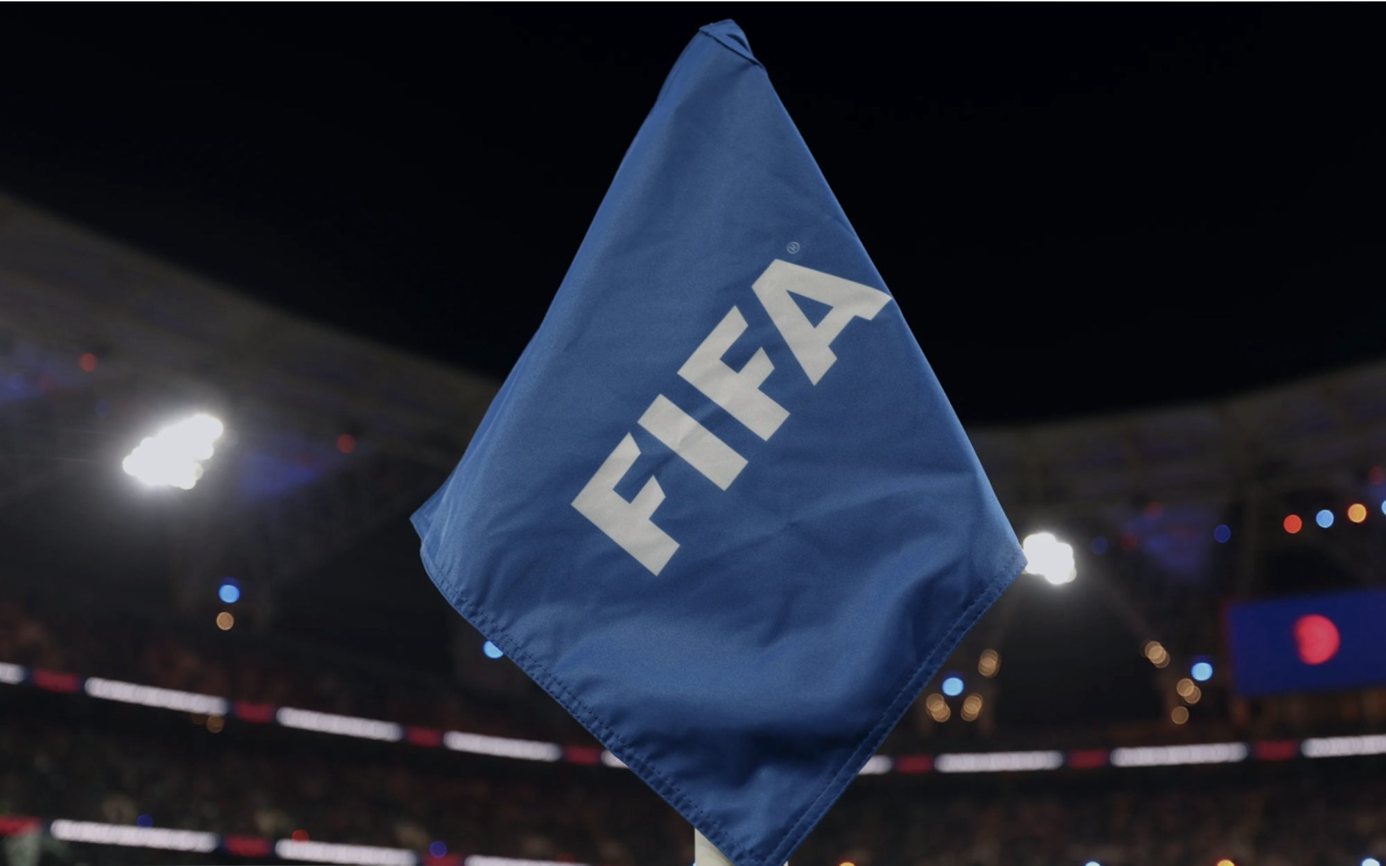 Vietnam’s FIFA disciplinary committee member recused from Malaysia nationality case - Ảnh 2.