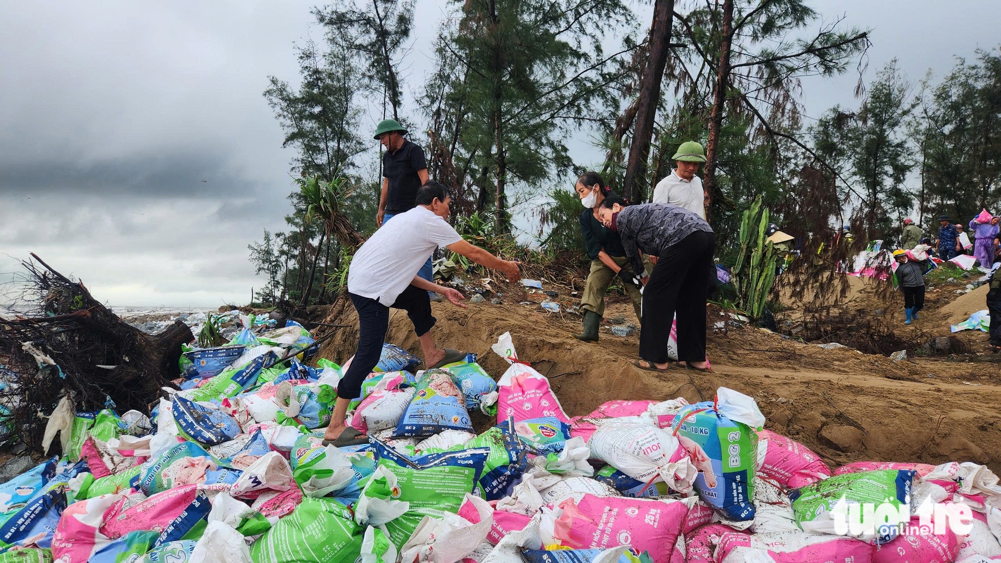 Hà Tĩnh huy động hàng trăm người gia cố bờ biển ứng phó bão Bualoi - Ảnh 1.