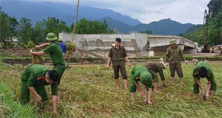 Công an Thanh Hóa gặt lúa giúp dân, hỗ trợ dân đi tránh bão số 10 - Ảnh 3.