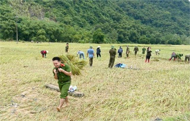 Công an Thanh Hóa gặt lúa giúp dân, hỗ trợ dân đi tránh bão số 10 - Ảnh 4.
