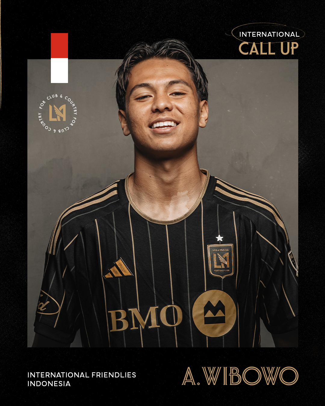 Indonesia - Ảnh 1.