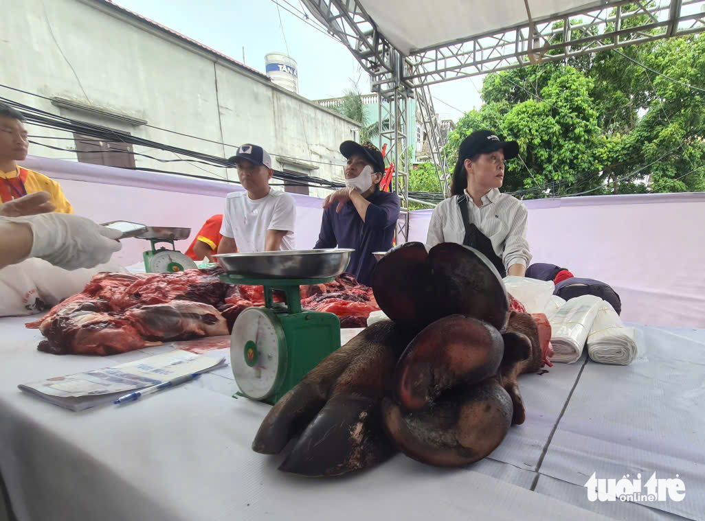 Trong sân 'ông trâu' đang chọi, ngoài sân trâu chọi đã bị xẻ thịt - Ảnh 6.