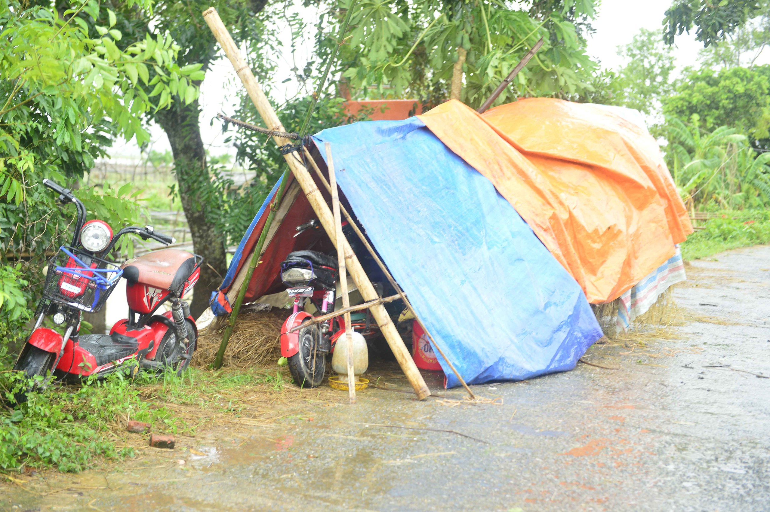 Hàng trăm hộ dân ở Thanh Hóa bỏ lại tài sản, chạy lũ trong đêm - Ảnh 7.