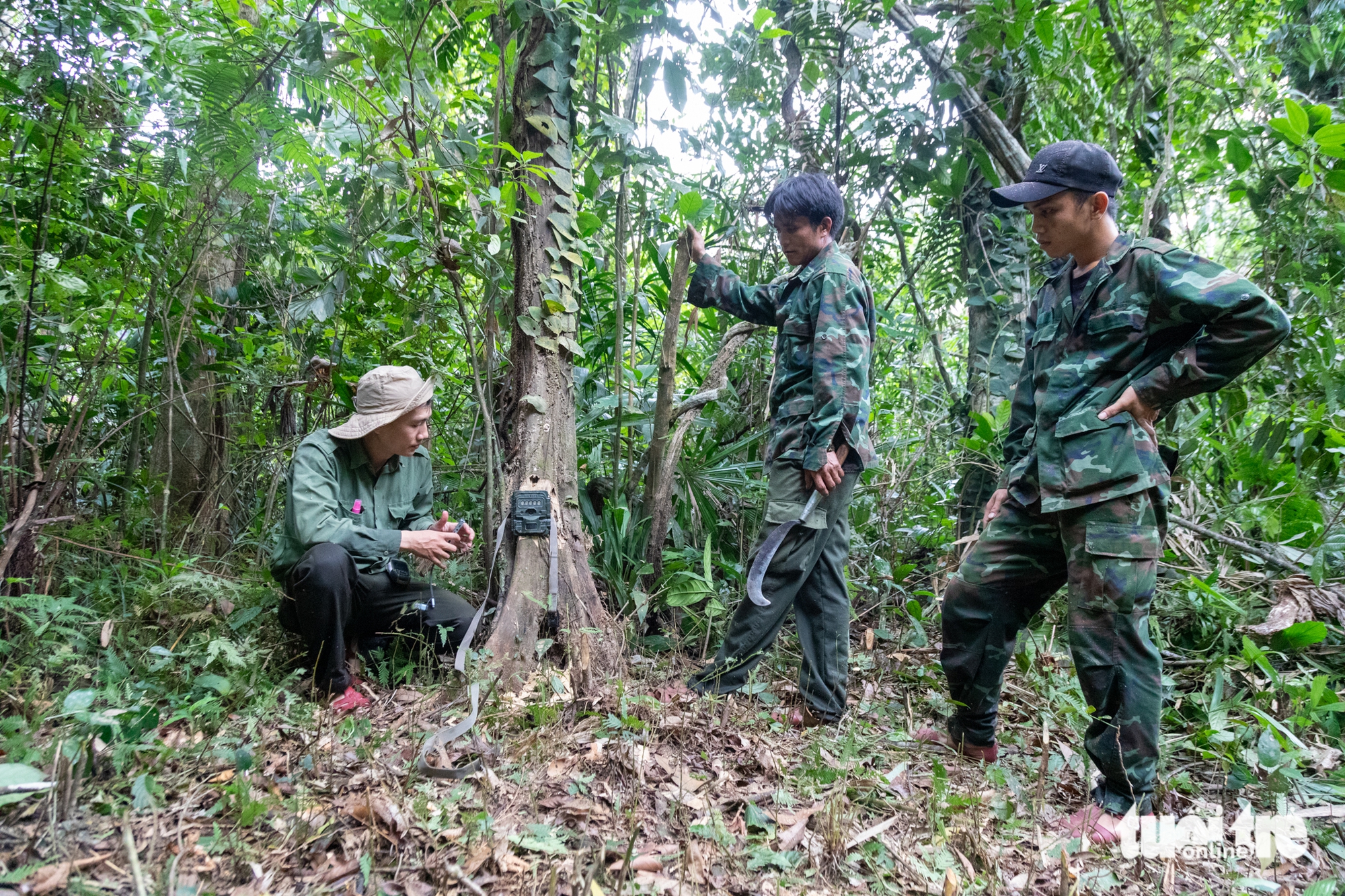 9 bird species newly recorded in central Vietnam biodiversity hotspot- Ảnh 4. 9 bird species newly recorded in central Vietnam biodiversity hotspot- Ảnh 4.