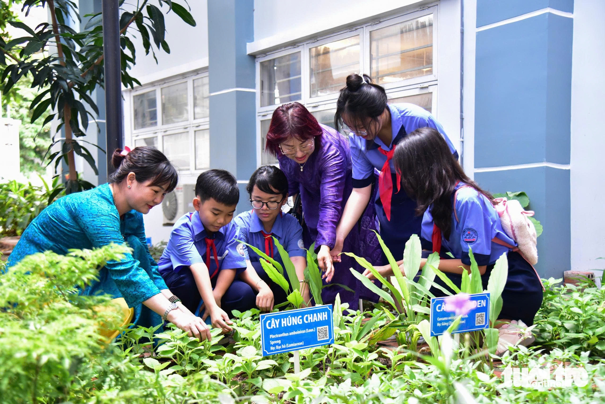Không gian văn hóa độc đáo ở Trường Trần Huy Liệu - Ảnh 4.