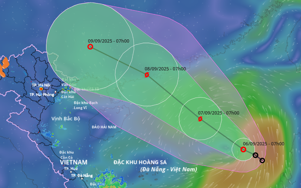 Storm Tapah strengthens over East Vietnam Sea, heavy rains expected in north- Ảnh 2.